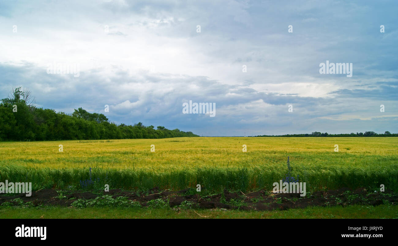 Stormy clouds in the sky hi-res stock photography and images - Alamy