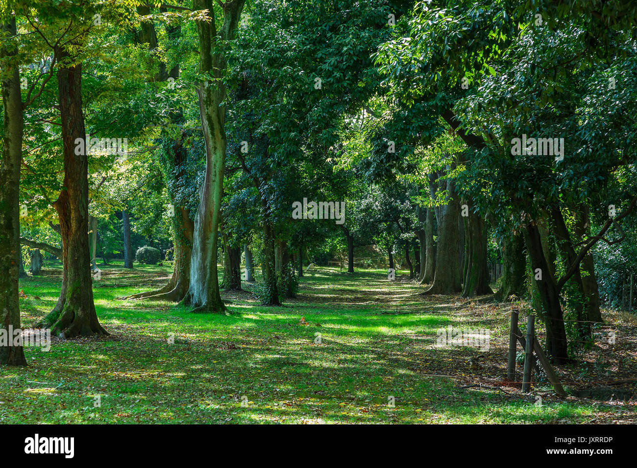 A Garden at Nijo Castle in Kyoto, Japan Stock Photo