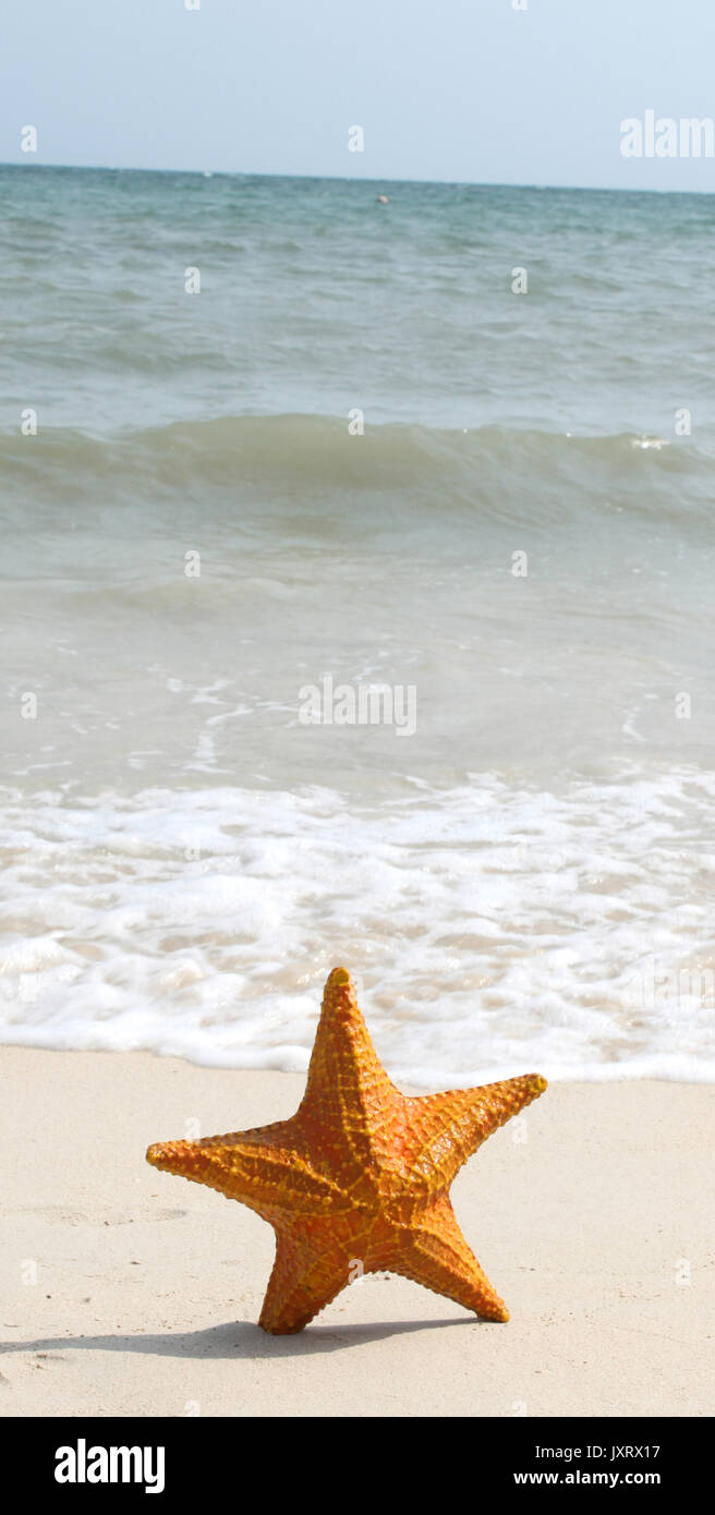 A starfish besides sea shore on a beach with white sand and blue water. Stock Photo
