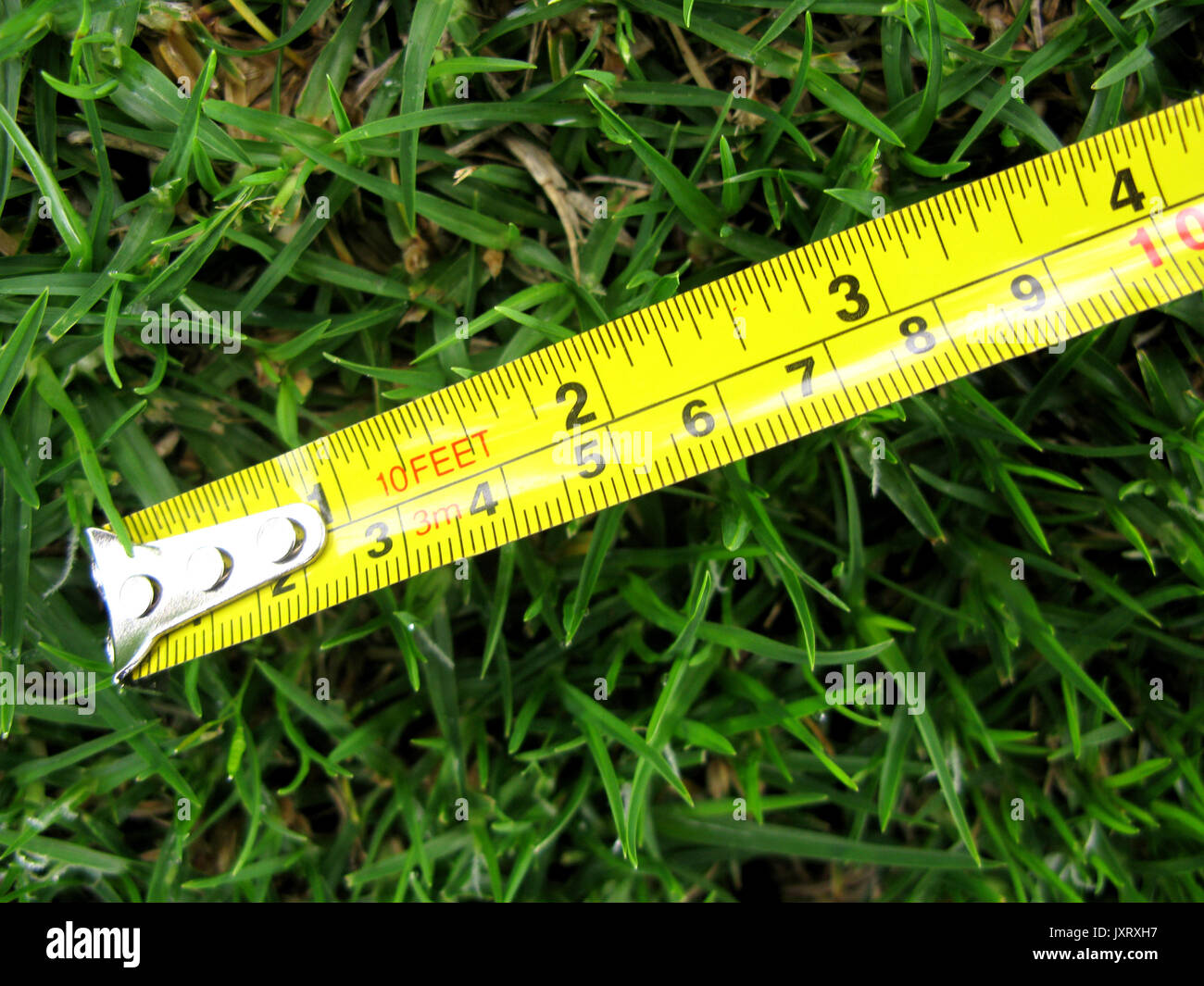 Length measure measurement measuring metallic meter metric natur hires