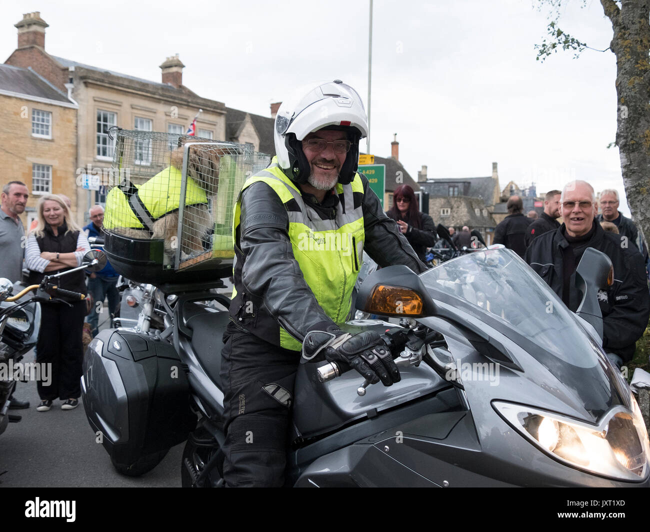 Moreton in Marsh, Gloucestershire, UK. 16th Aug, 2017. Biker and dog ready for the Cotswold Bike Nite, a charity fund raising event held every week in the Cotswolds, Biker with Honey the Sheltie dog riding pillion, Credit: Graham Light/Alamy Live News Stock Photo