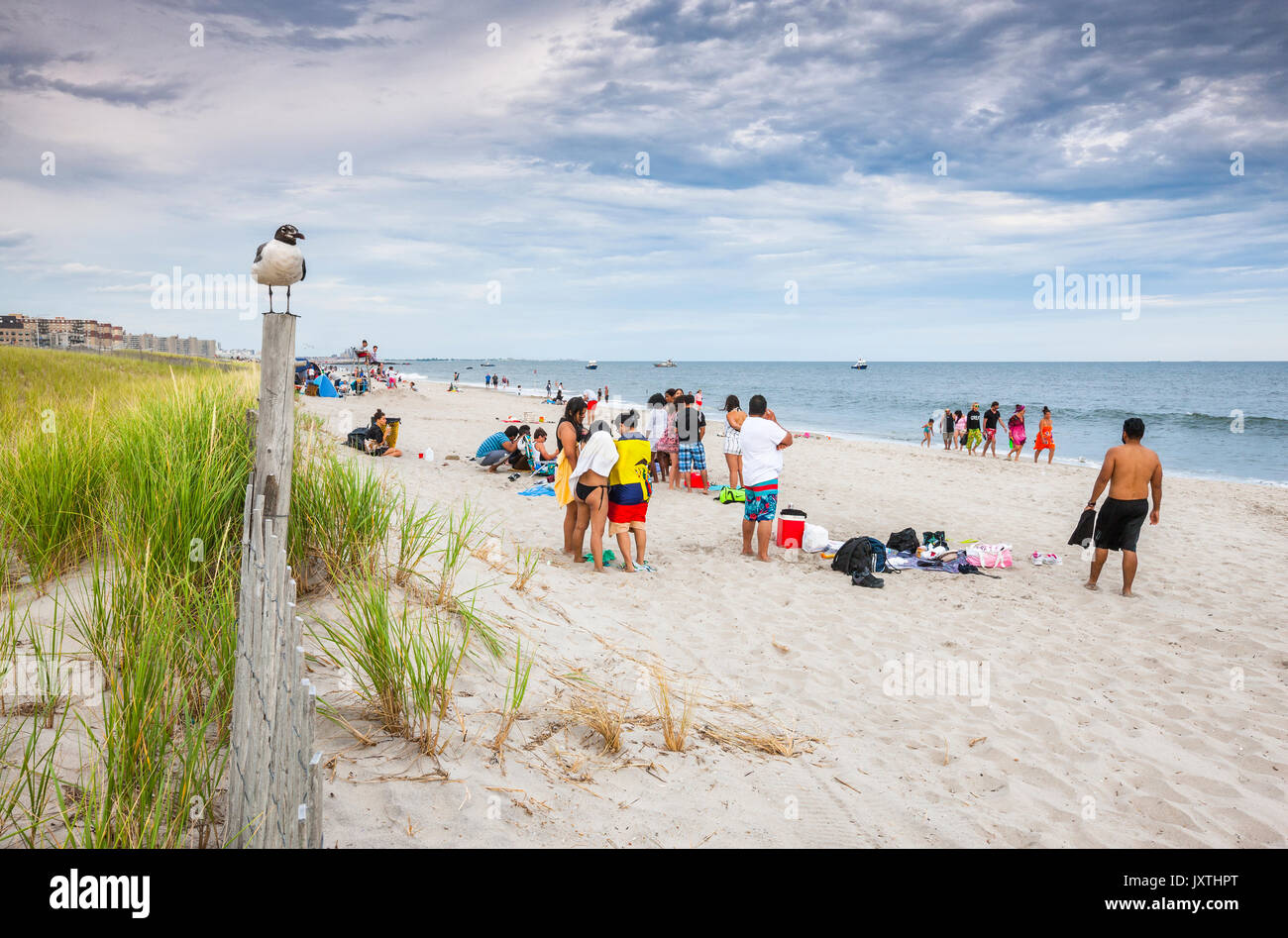 Seagul on the fence on Rockaway beach, Long Island, New york Stock Photo