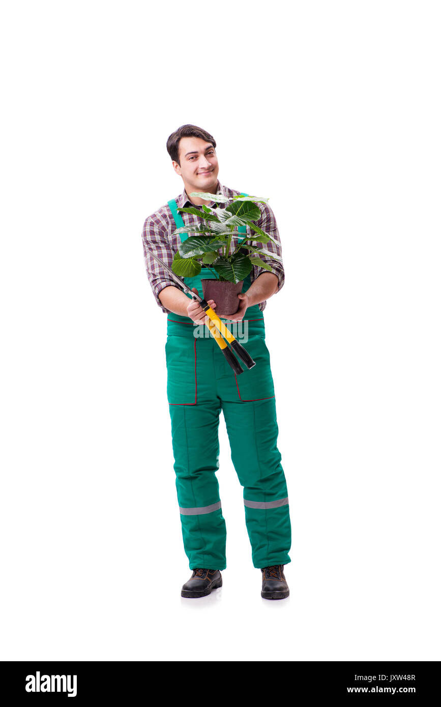 Young man gardener isolated on white Stock Photo - Alamy