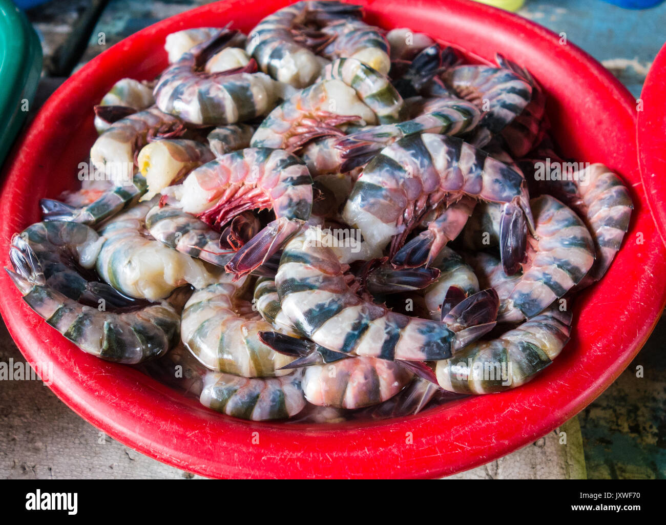 Tiger shrimp for sale at local market Stock Photo Alamy