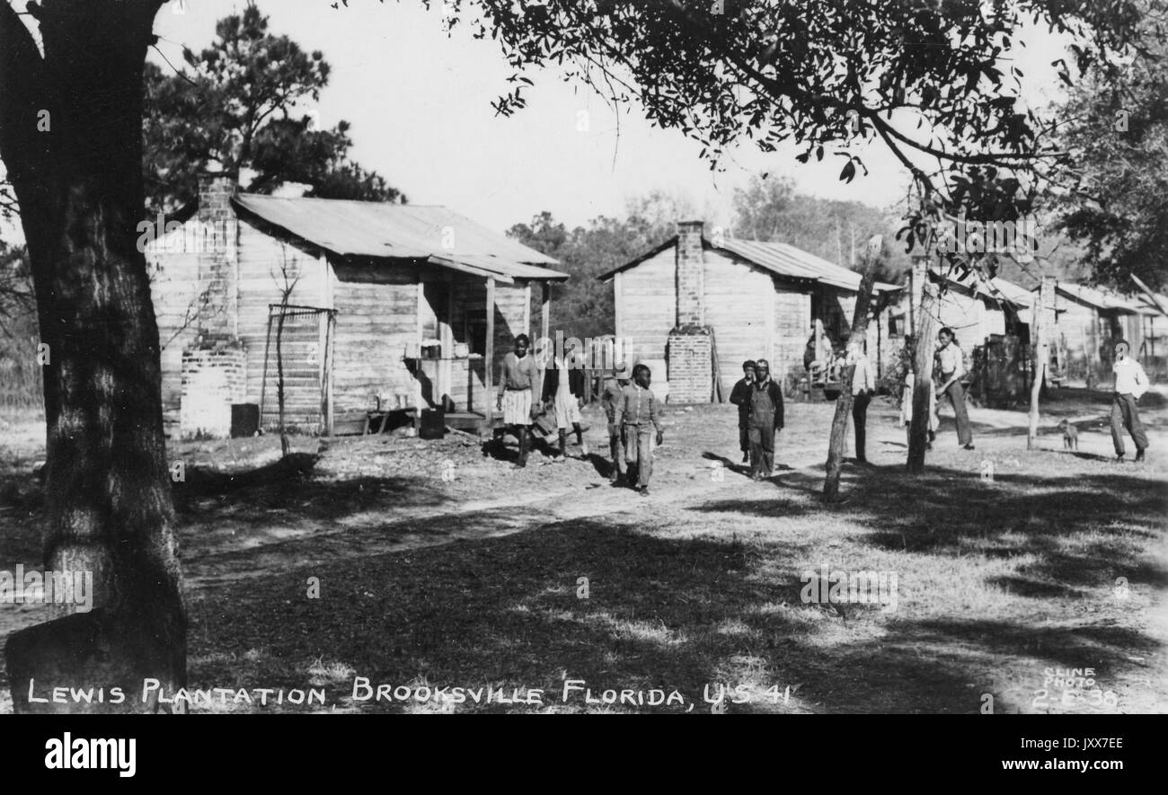 Landscape of the African American quarters on the Lewis Plantation in Brooksville, Florida, young African American men walking on the grass in front of their homes under a large shady tree, Florida, 1930. Stock Photo