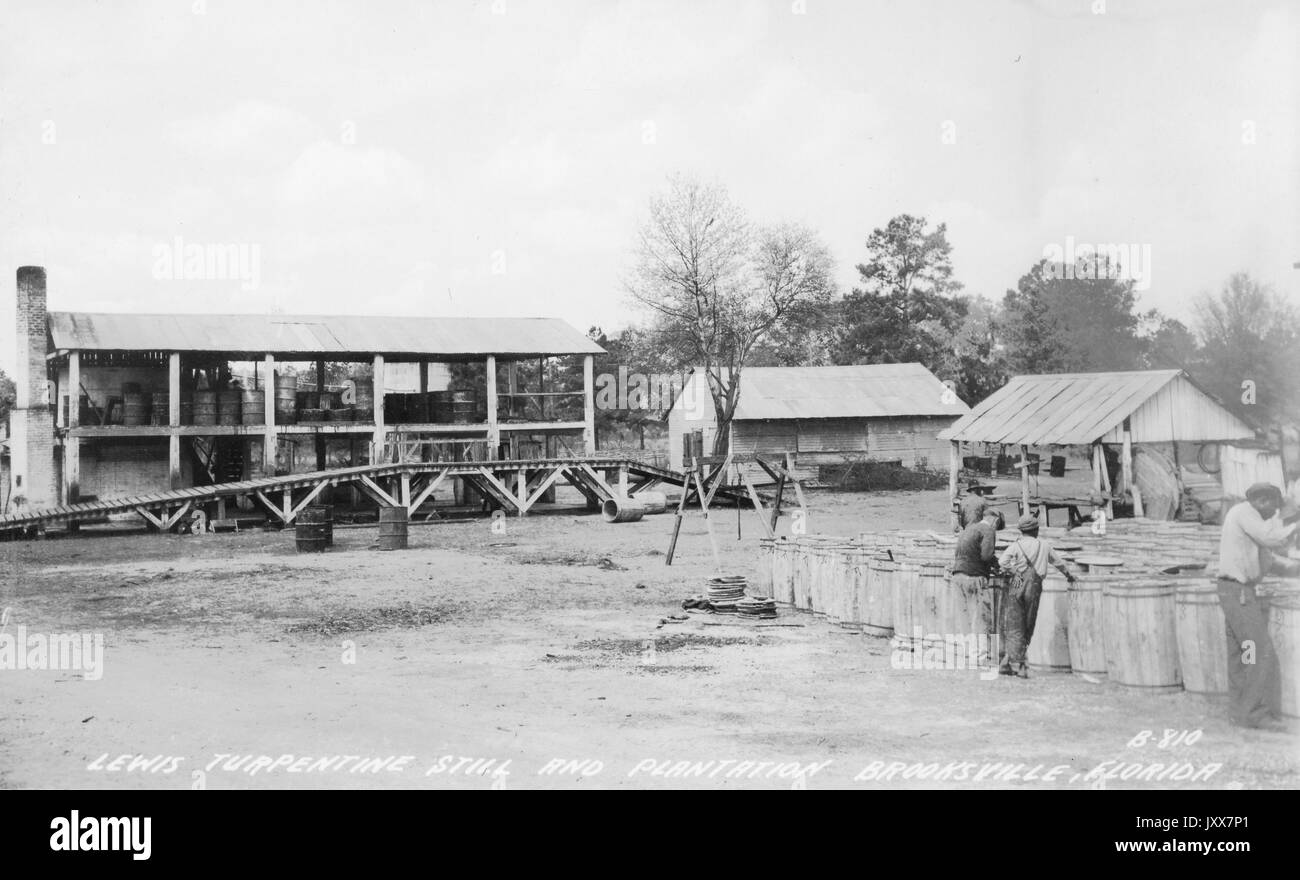 African American men working, with sheds and trees in the background, on the Lewis Plantation and Turpentine in Brooksville, Florida, 1940. Stock Photo