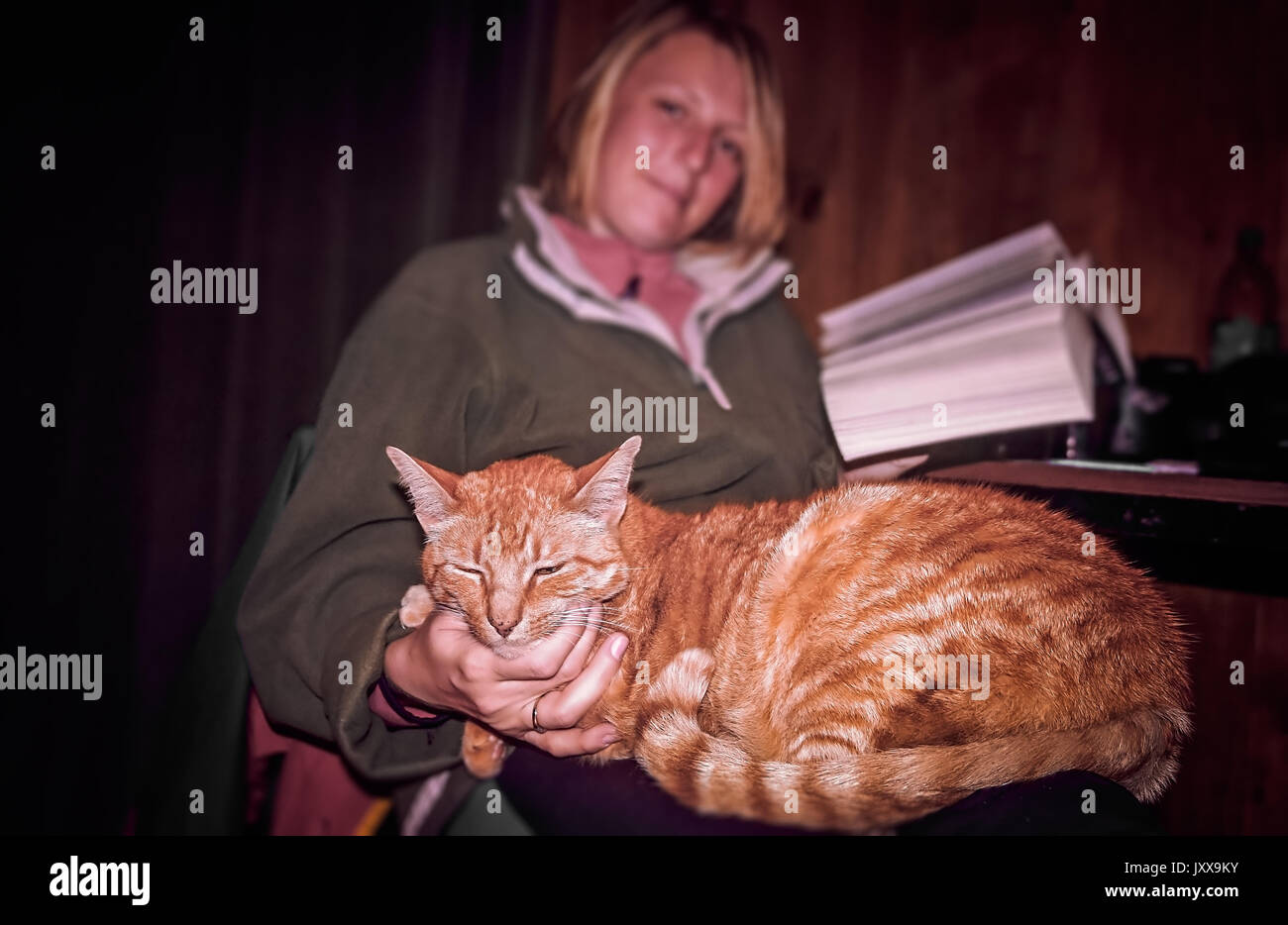 Cute cat sitting on womans knees while she is reading a book Stock Photo Alamy