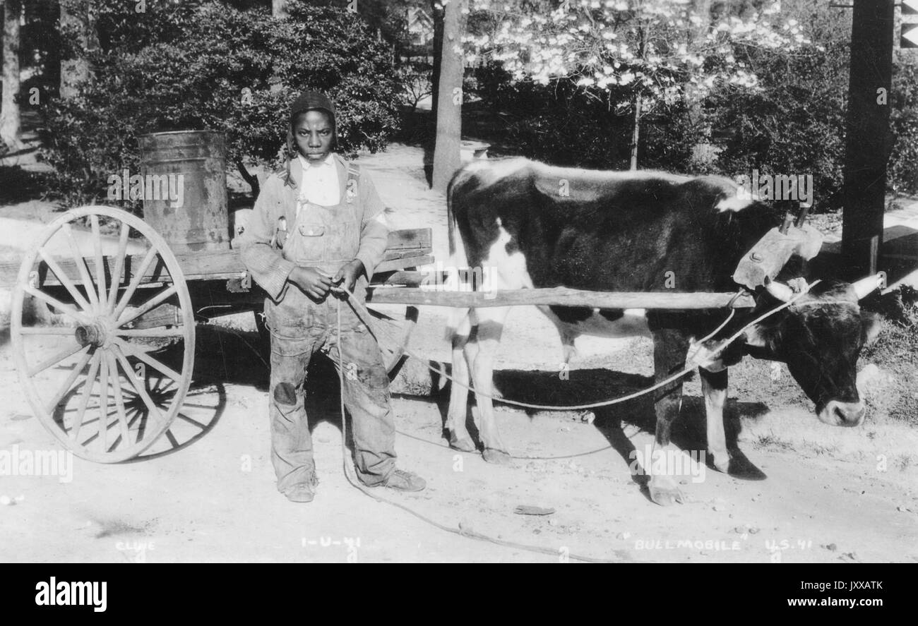 Full length standing portrait of young African American male working outside with wagon pulled by cow, wearing dark shirt, overalls and cap, holding rope to pull cow, standing outdoors in front of trees on dirt pathway, neutral expression, 1939. Stock Photo