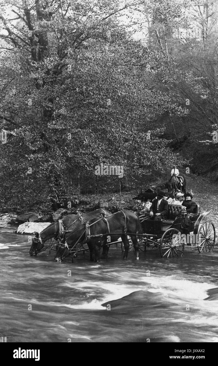 African American man as coach of horse carriage driven by two horses carrying two white women followed by white male on horse, African American male wearing dark suit, one white woman wearing light dress and hat, another white woman wearing dark dress and hat, white man in back wearing light shirt, on dirt pathway in front of trees, neutral expressions, 1915. Stock Photo
