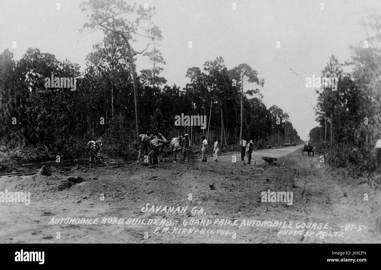 Landscape of nine African American men plowing on a dirt path among large trees, 1920. Stock Photo