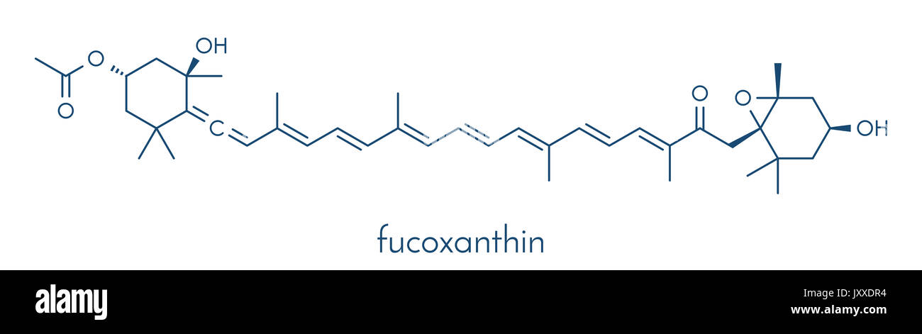 Fucoxanthin brown algae pigment molecule. Ingredient of some dietary supplements. Skeletal formula. Stock Photo