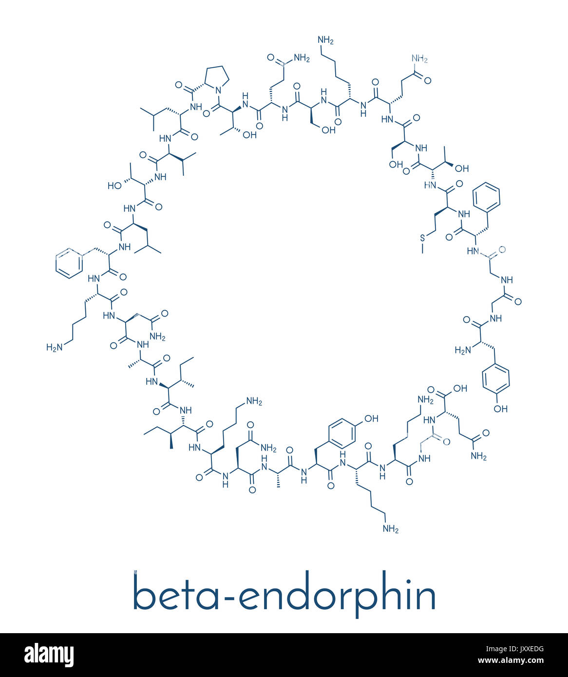 Бета эндорфин. Химическая формула эндорфина. Структурная формула эндорфина. Эндорфин формула структурная.
