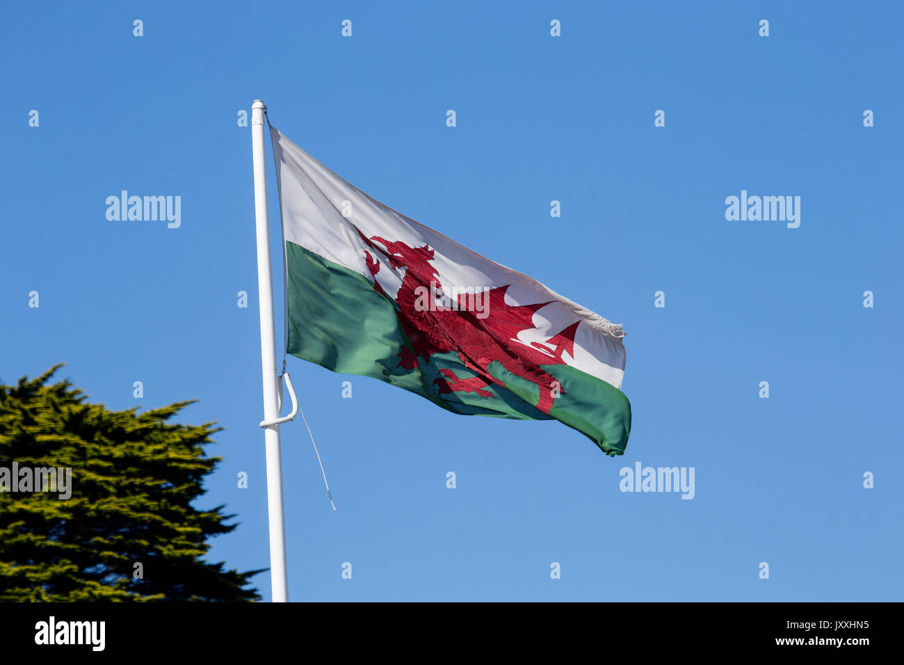 Welsh Flag fluttering in the breeze Stock Photo