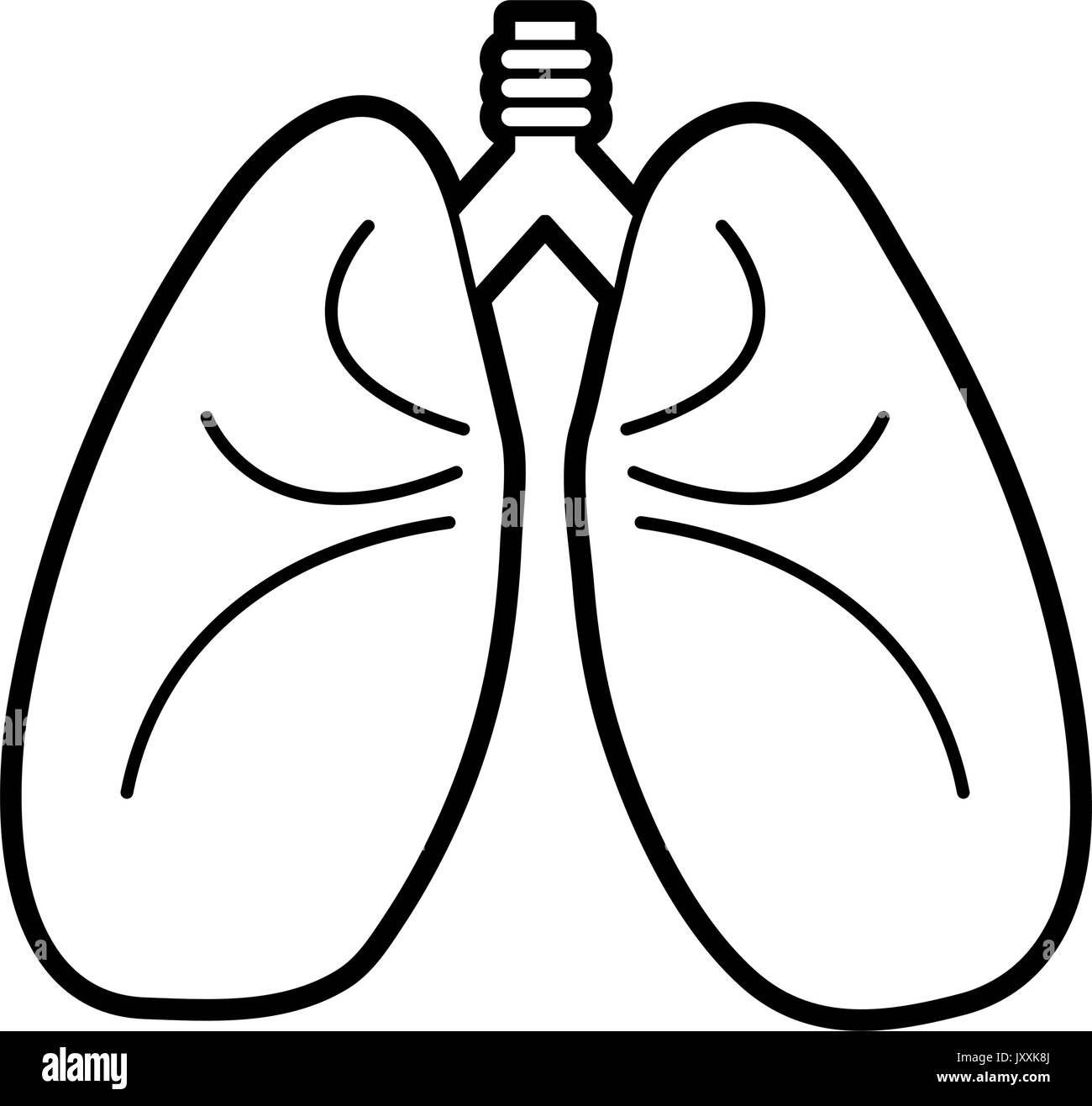 Human Lungs Black and White Stock Photos & Images - Alamy