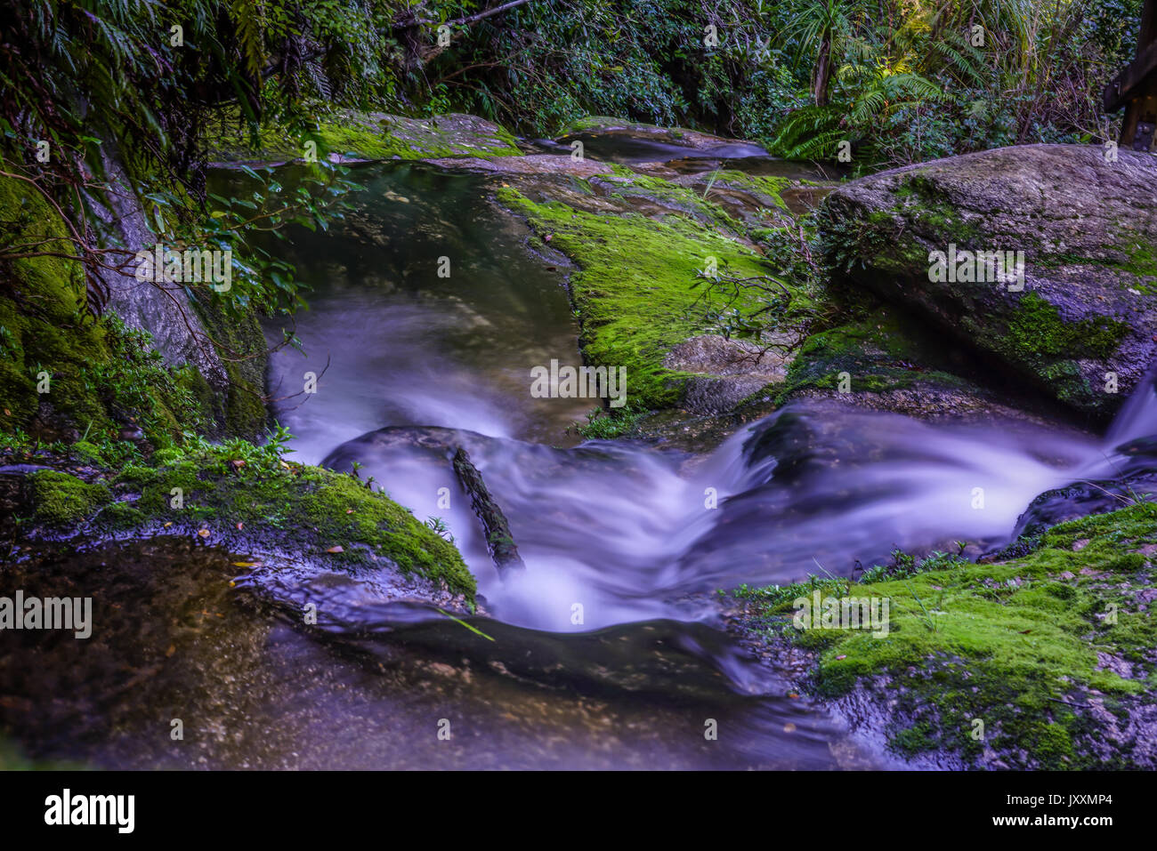 Beautiful rivers at Abel Tasman National Park, Nelson, New Zealand Stock Photo