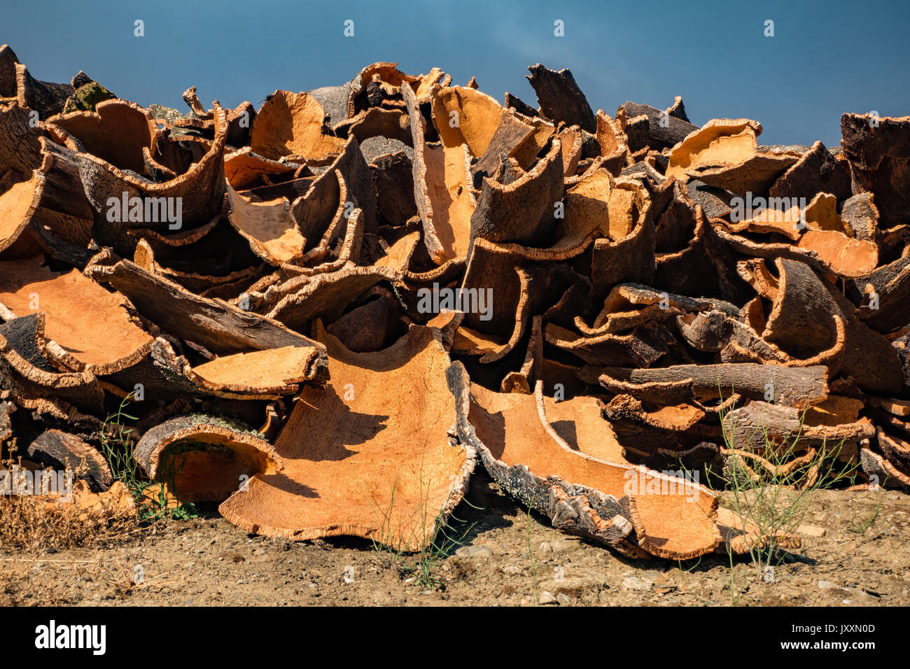 Raw cork sits in a pile, waiting transport to a processing plant in the Douro Valley, Portugal Stock Photo