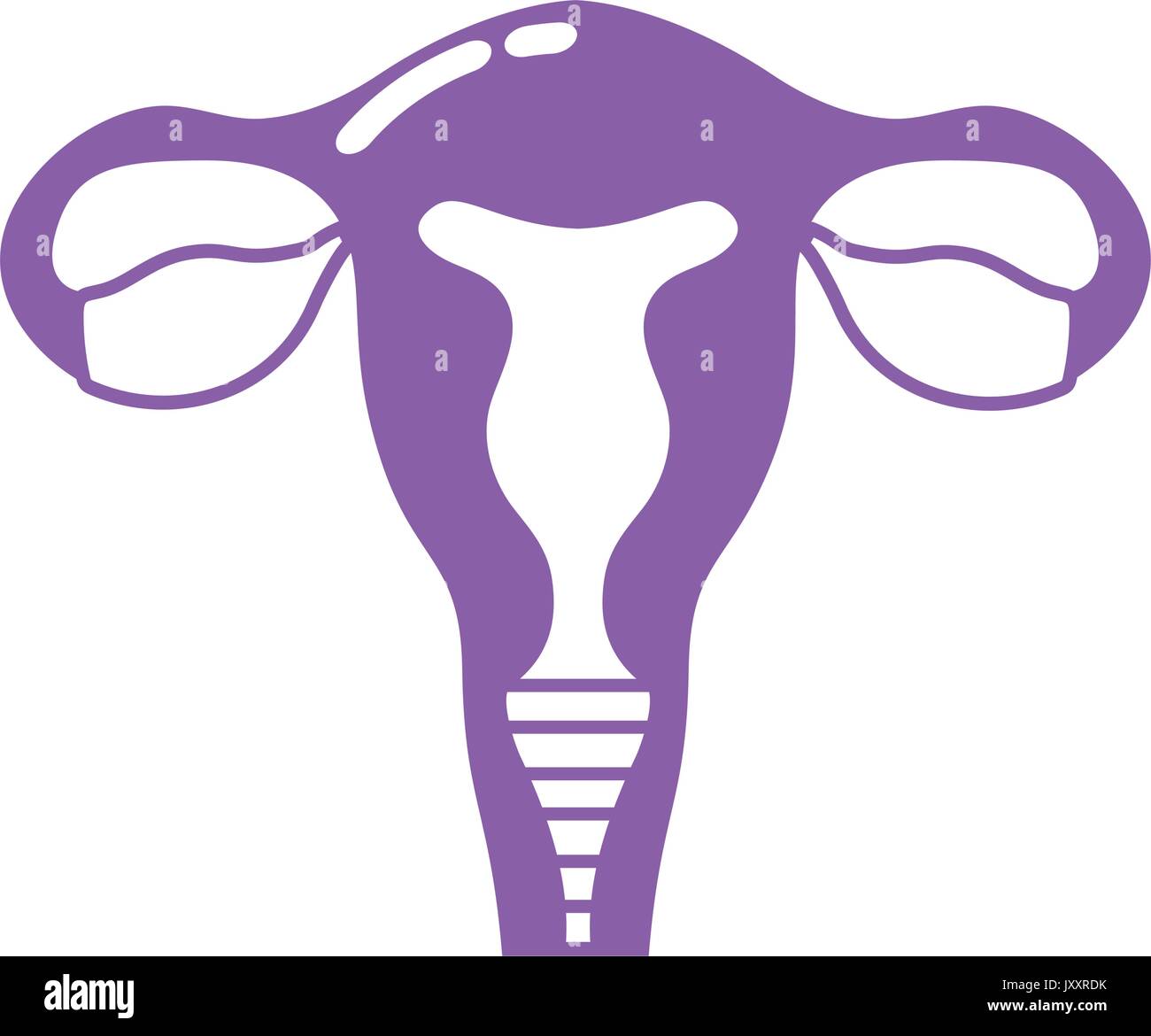 Fallopian Tubes High Resolution Stock Photography and Images Alamy