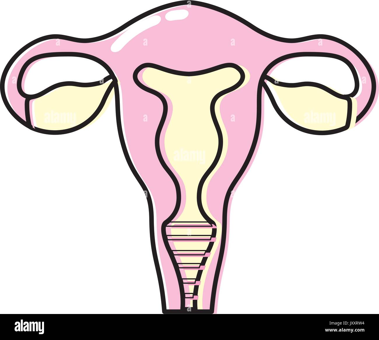 Fallopian Tubes High Resolution Stock Photography and Images Alamy