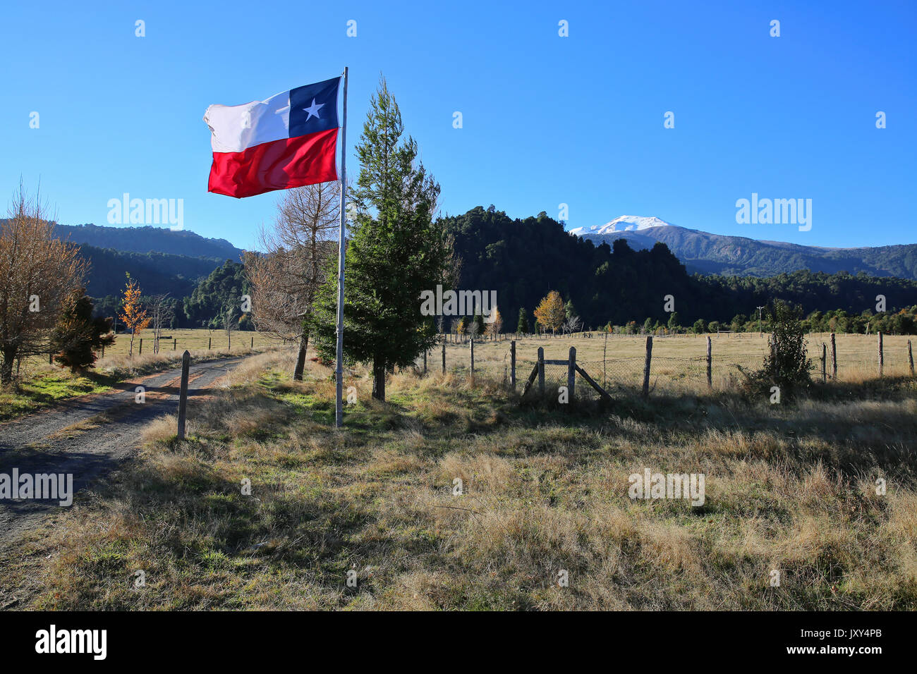 Chilean Flag Stock Photo