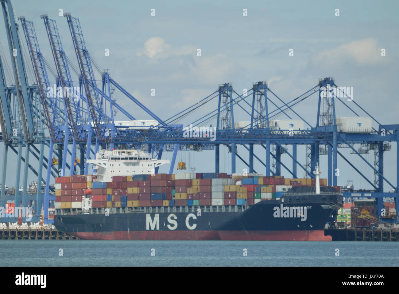 Container Ship MSC Rouge seen alongside at the Port of Felixstowe Stock Photo