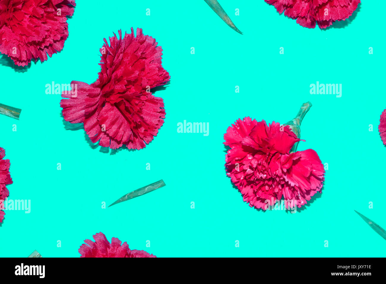 Fake and real red carnation flowers on blue background Stock Photo