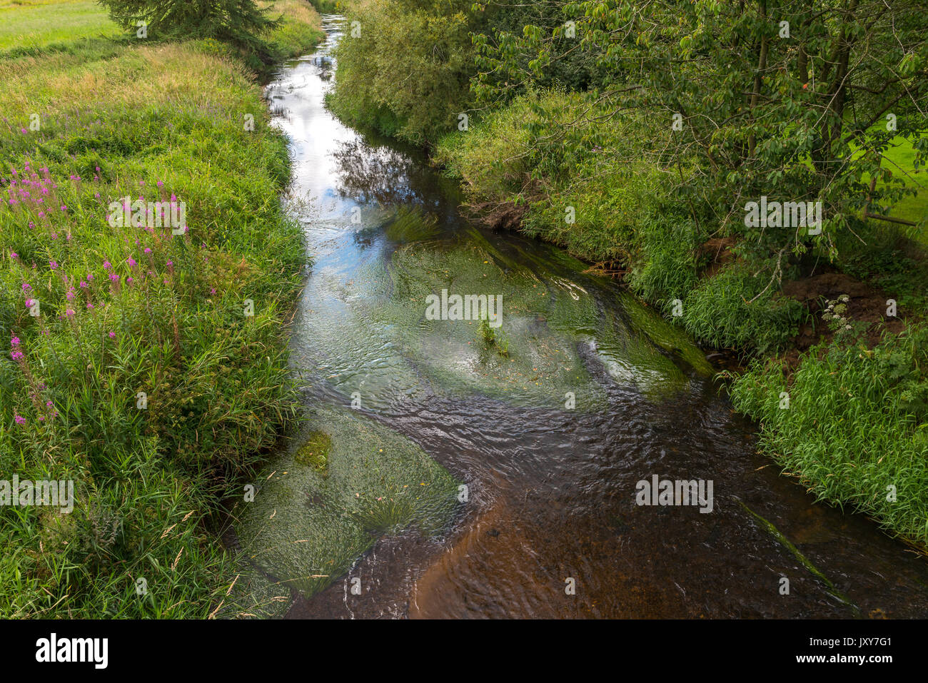The Lyne Water near West Linton in the Scottish Borders Stock Photo Alamy