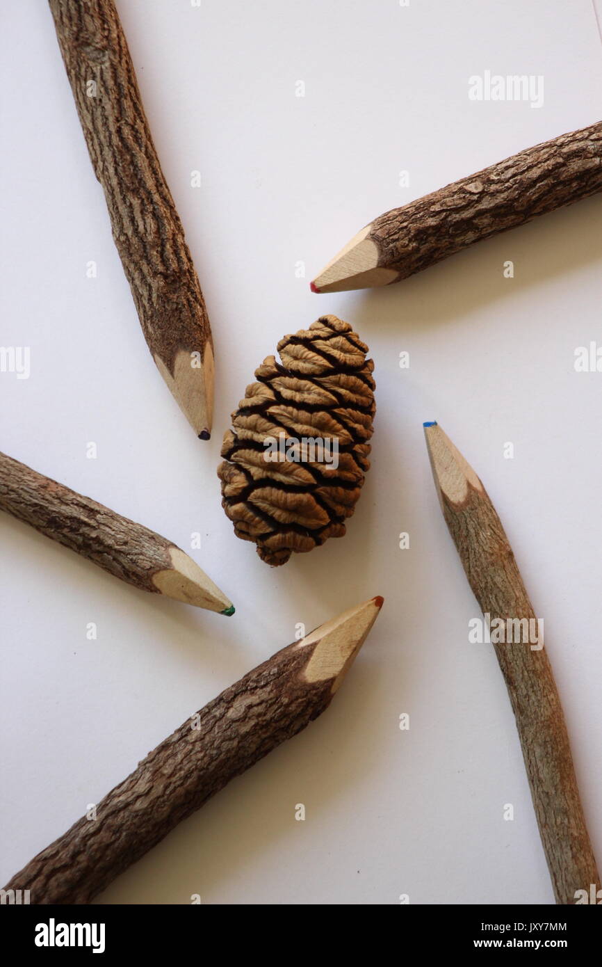 Wooden colored pencils decorated around a pine cone. Stock Photo
