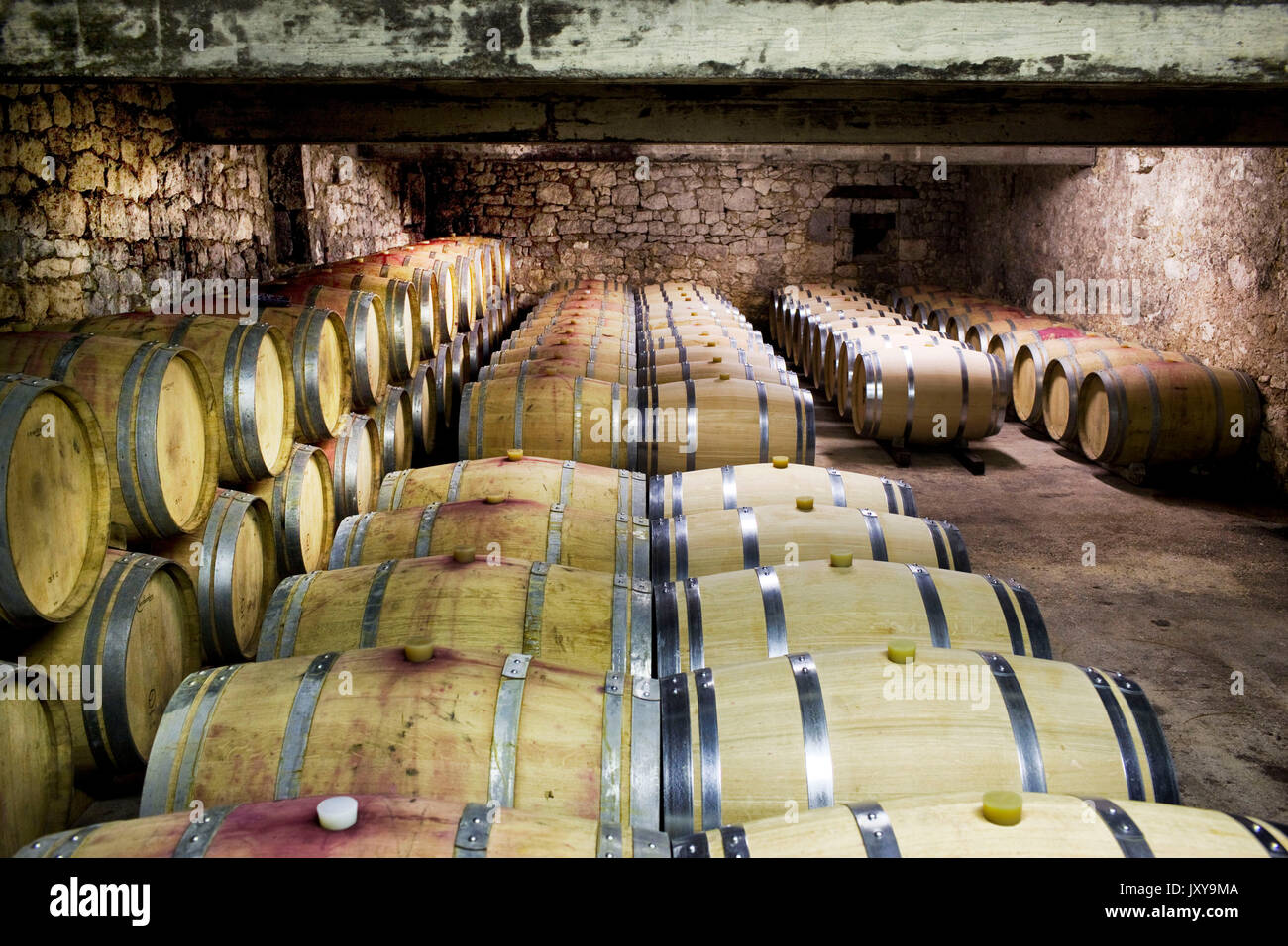 Wine cellar of winemaker Luc de Conti, wine-grower in Ribagnac, at the wine-growing property 'chateau Tour des Gendres'. Wine casks Stock Photo