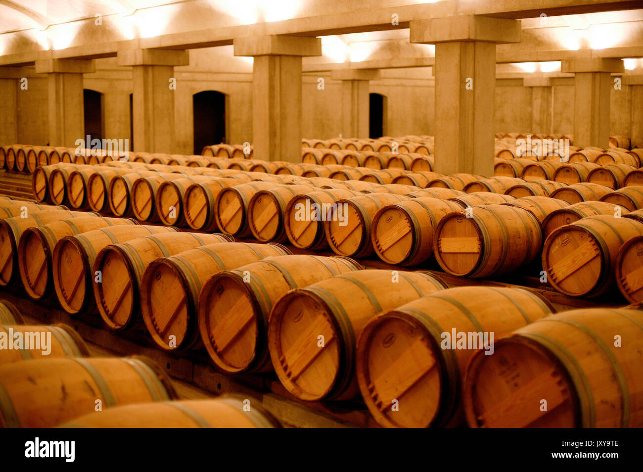 Chateau Yquem wine cellar in Sauternes. Rows of casks in the cellars of Chateau Yquem Stock