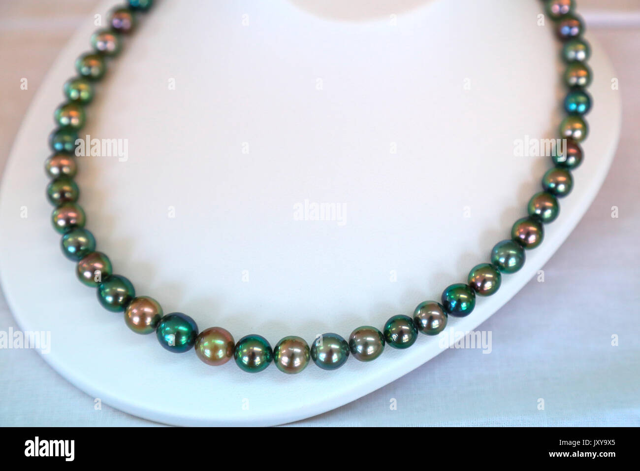 Cultured pearl from Polynesia displayed in a pearl oyster. Tahitian pearls, or black pearls, with a guarantee of origin. Crew-neck pearl necklace Stock Photo