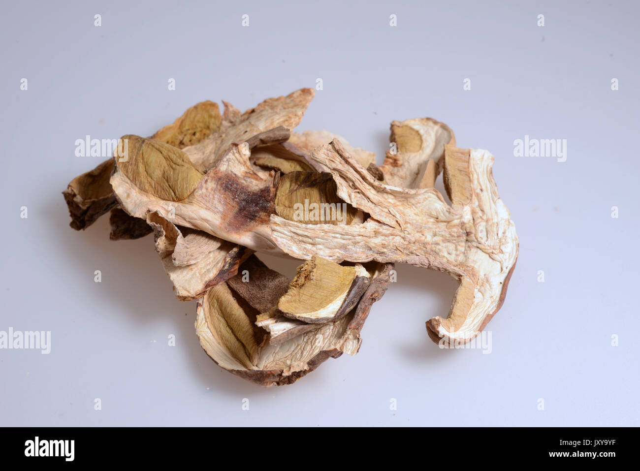 Saugues, production site of the company Borde SA, woodland mushrooms specialist. Heap of dried ceps / boletus mushrooms *** Local Caption *** . Stock Photo
