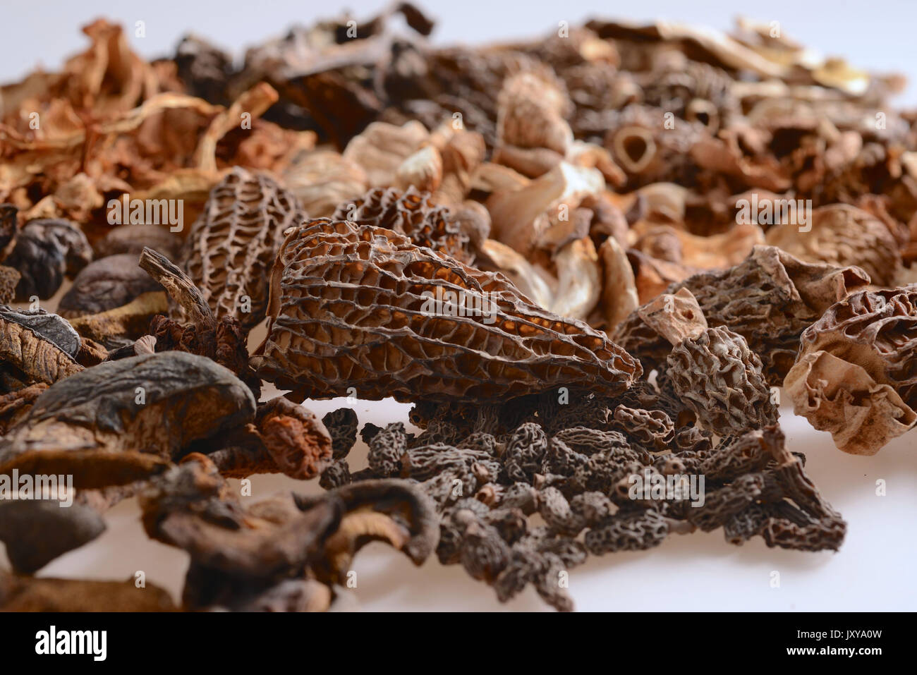 Saugues, production site of the company Borde SA, woodland mushrooms specialist. Heap of various mushrooms with dried girolle mushrooms, morels, horns Stock Photo