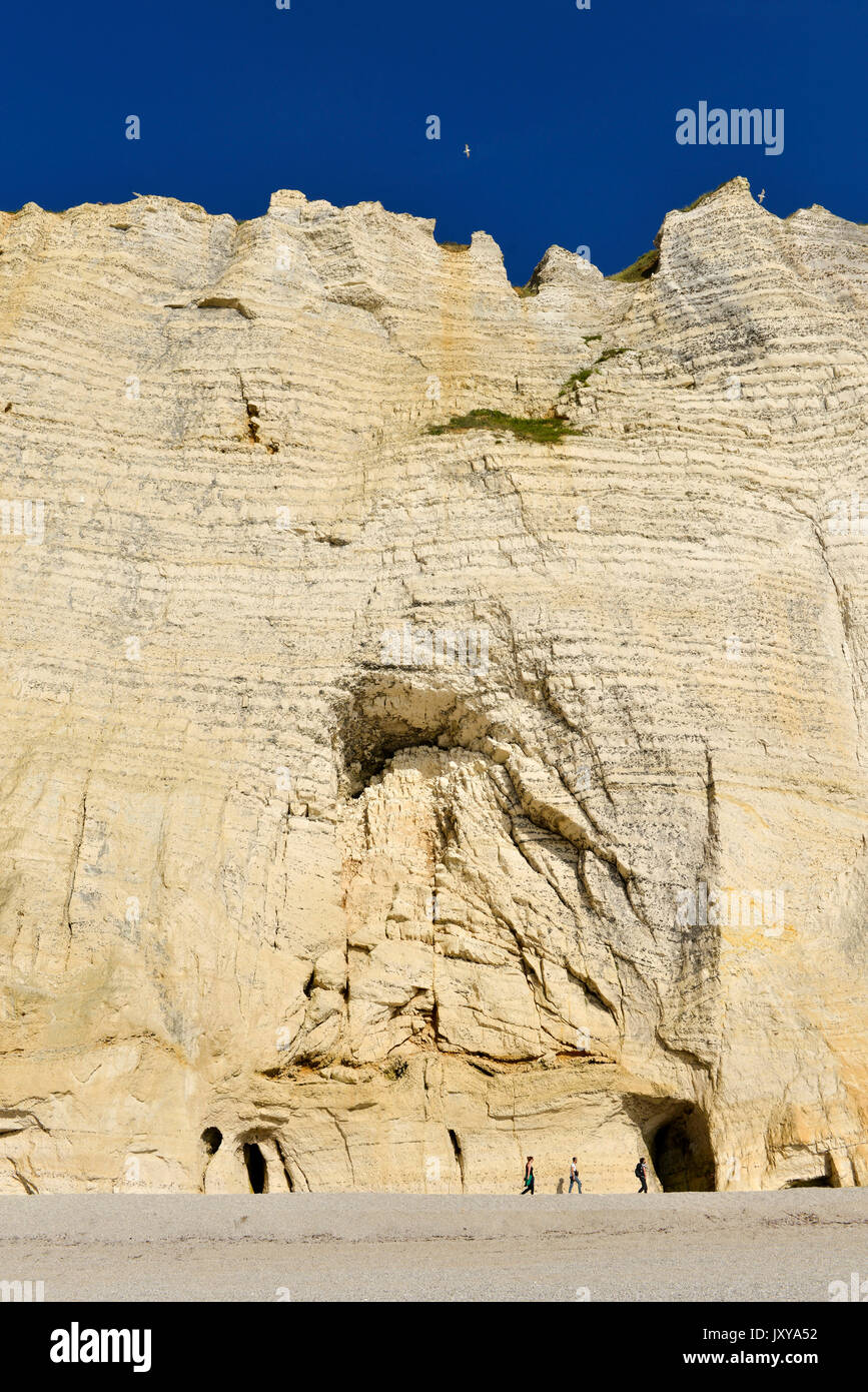 Le Havre (Normandy, northern France): cliff along the 'plage d'Antifer' beach Stock Photo