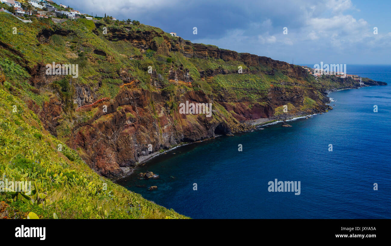 Madeira Houses at the coast of Garajau with pride of madeira and cactusses and the blue ocean