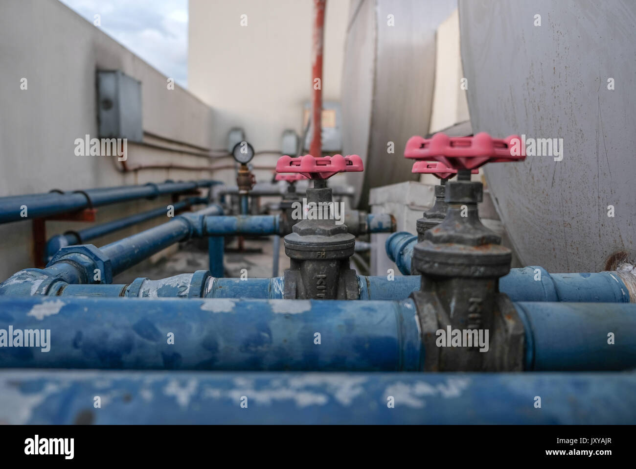 Valve knob, faucet handle, valve handle Stock Photo Alamy