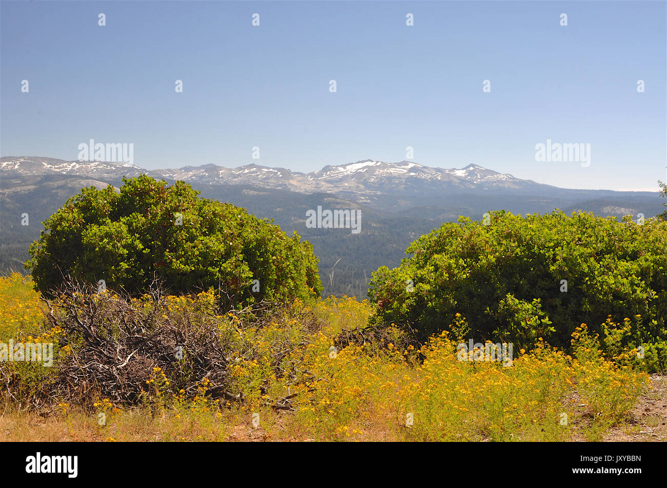 Eldorado National Forest, California 7 17 Stock Photo Alamy