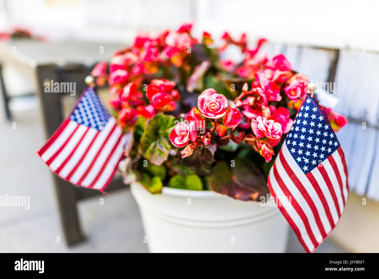 Patriotic flower pot with American flags and pink or red begonia flowers on porch Stock Photo