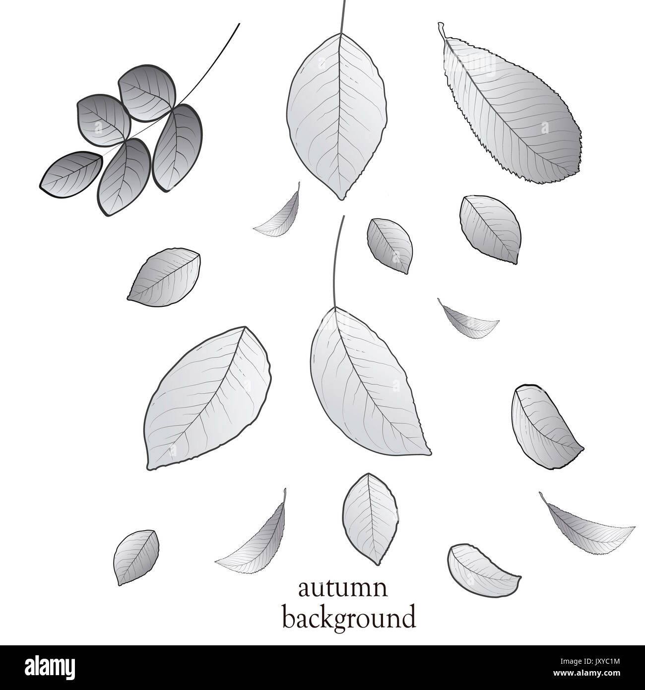 Vector illustration of autumn background with leaves Stock Photo - Alamy