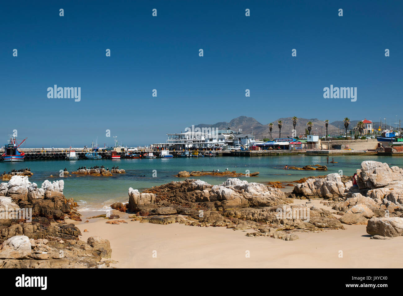 Fishing boats in Kalk Bay harbour on Cape Town's Indian Ocean coast. Stock Photo