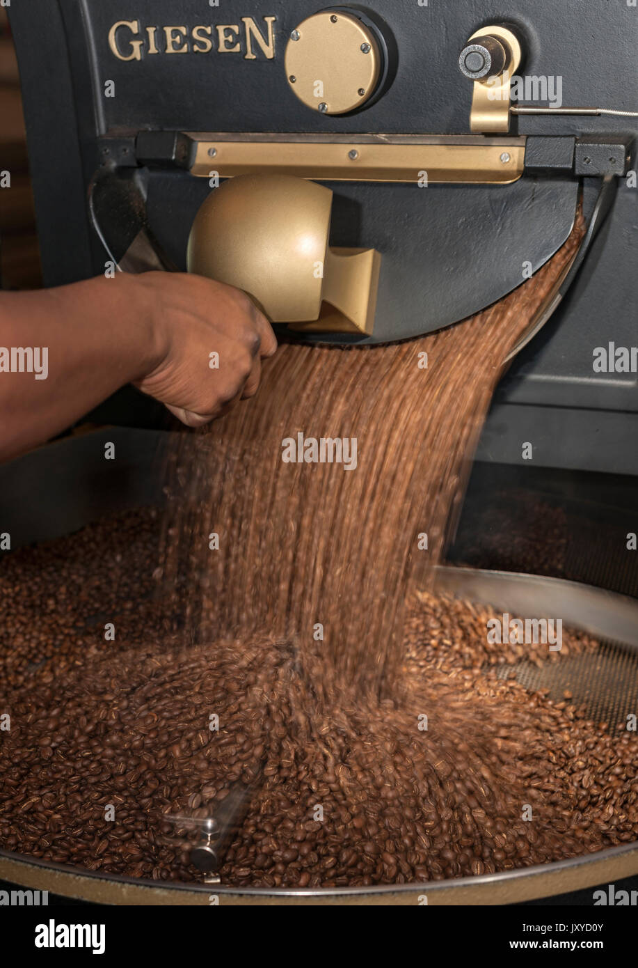 Giesen coffee roasting machine. Stock Photo