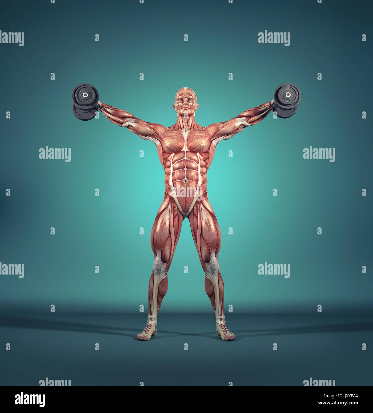Throwing weights hires stock photography and images Alamy