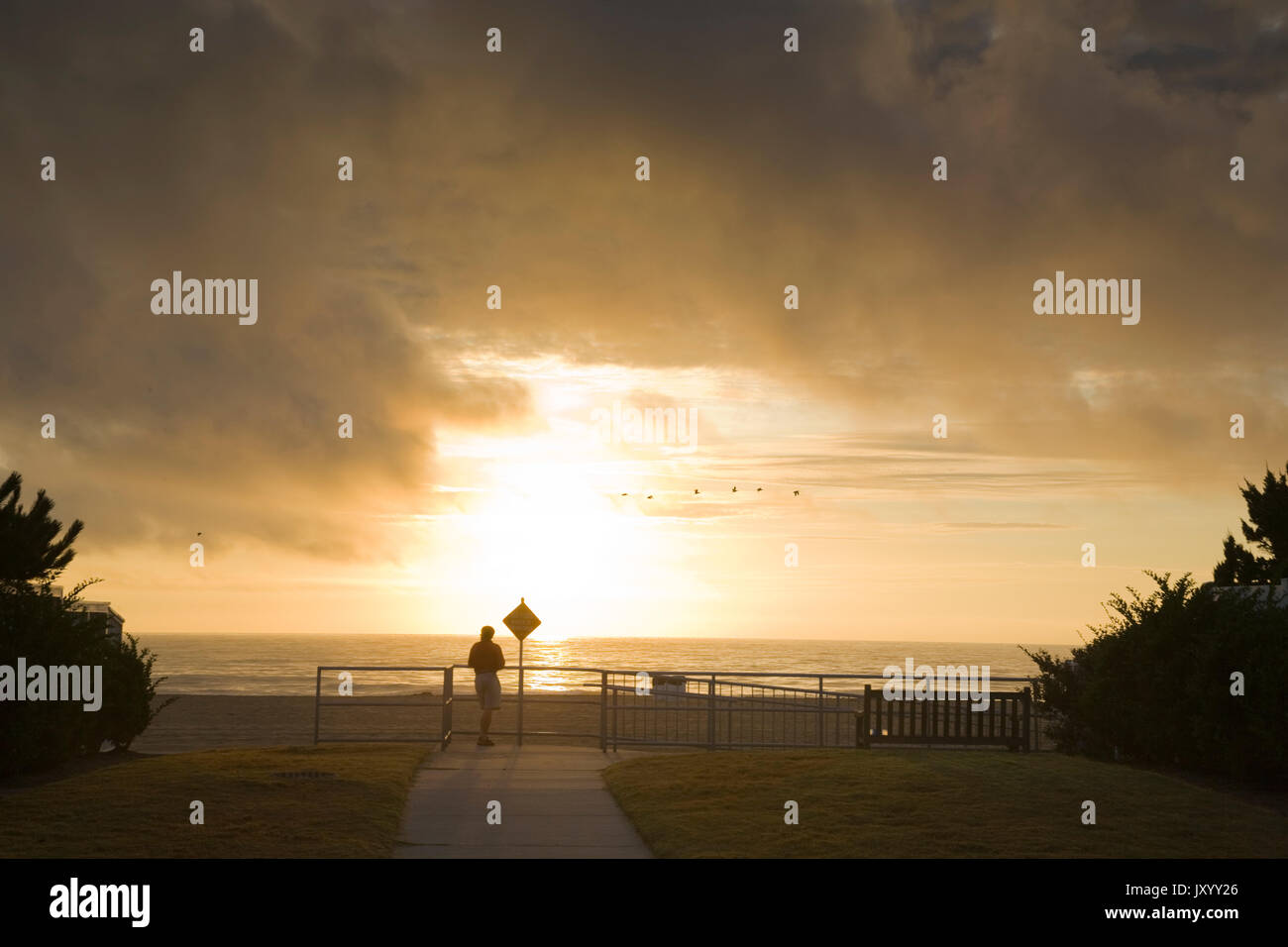 Man watching sunset at waterfront Stock Photo