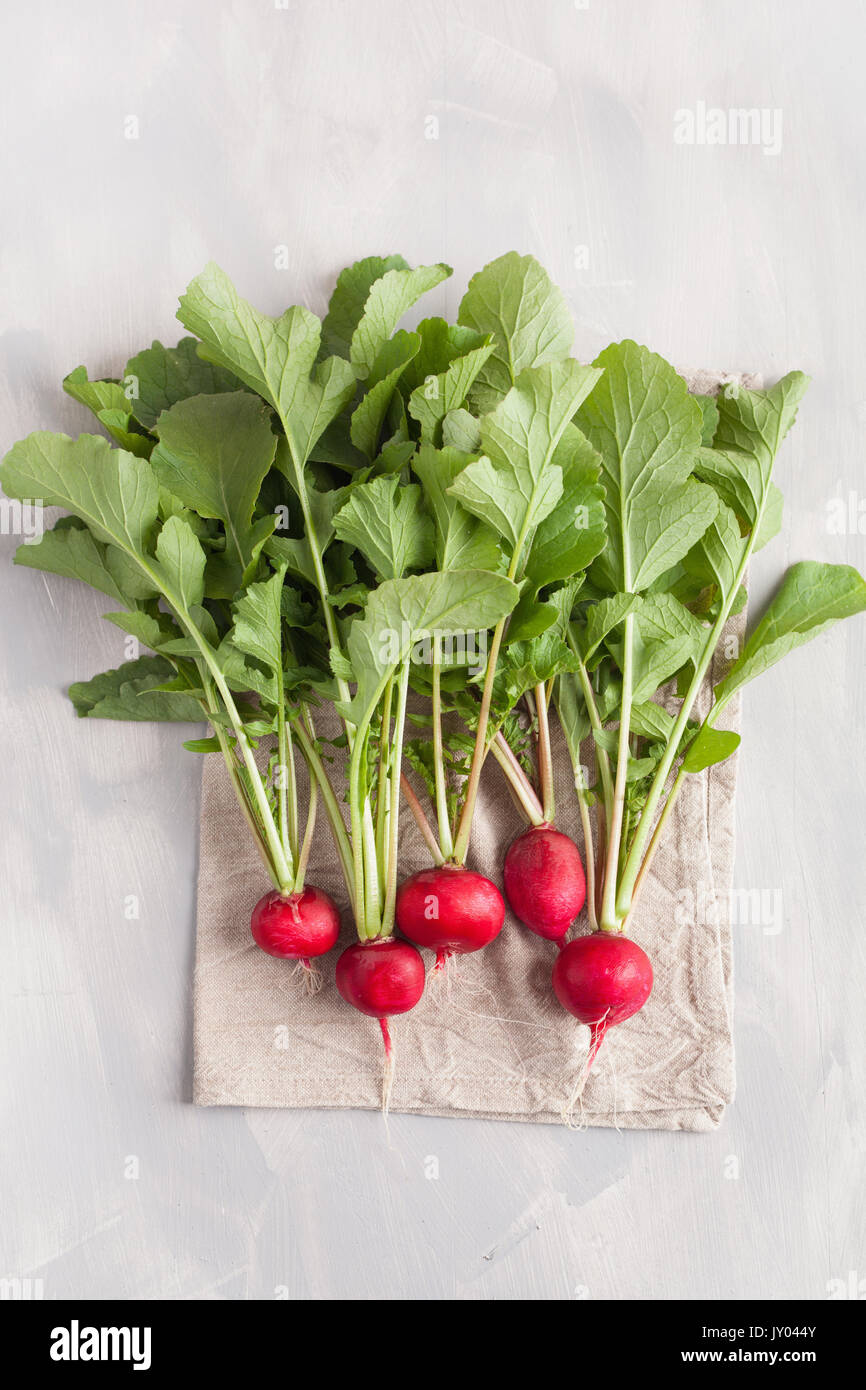 fresh raw radish with leaves over gray background Stock Photo Alamy