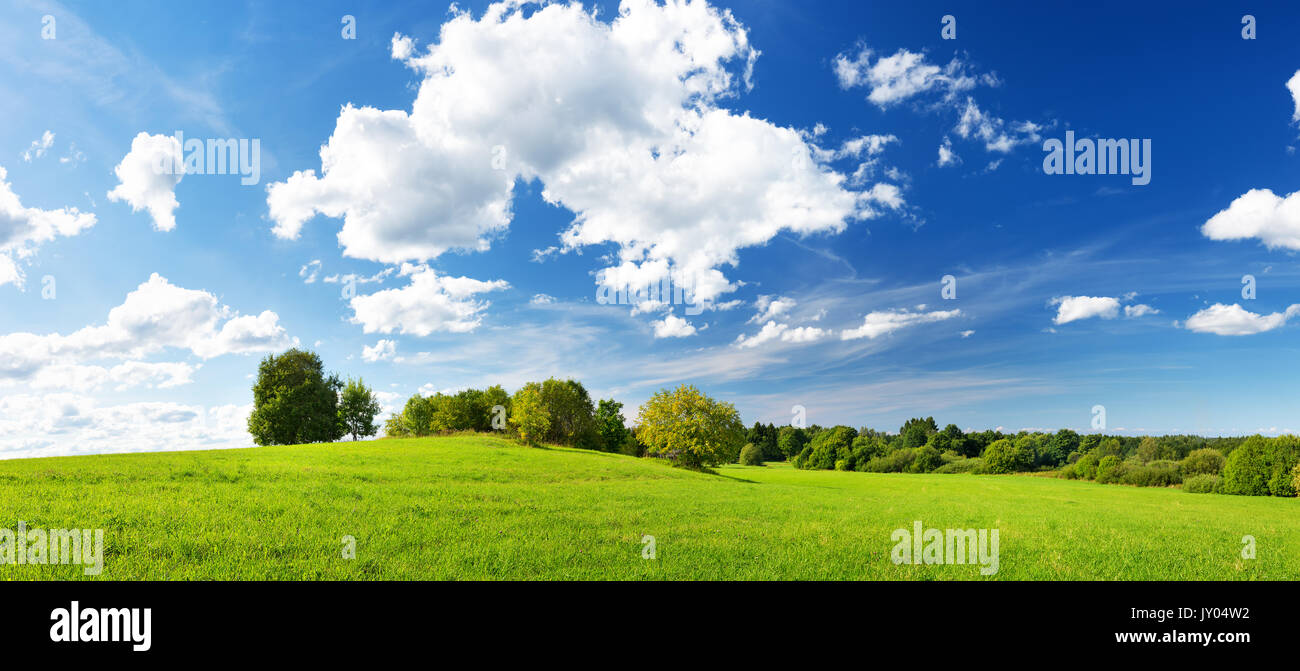 Green field panorama and blue sky Stock Photo - Alamy