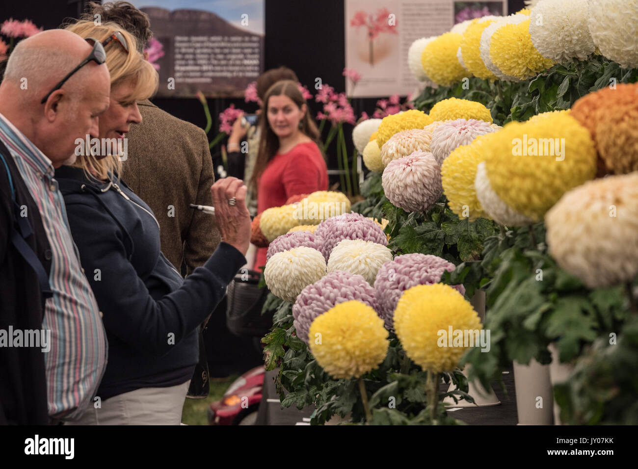 Visitors to flower show inspect exhibits.  Malvern Autumn show, Three Counties Showground,  Worcestershire, England. United Kingdom. Stock Photo