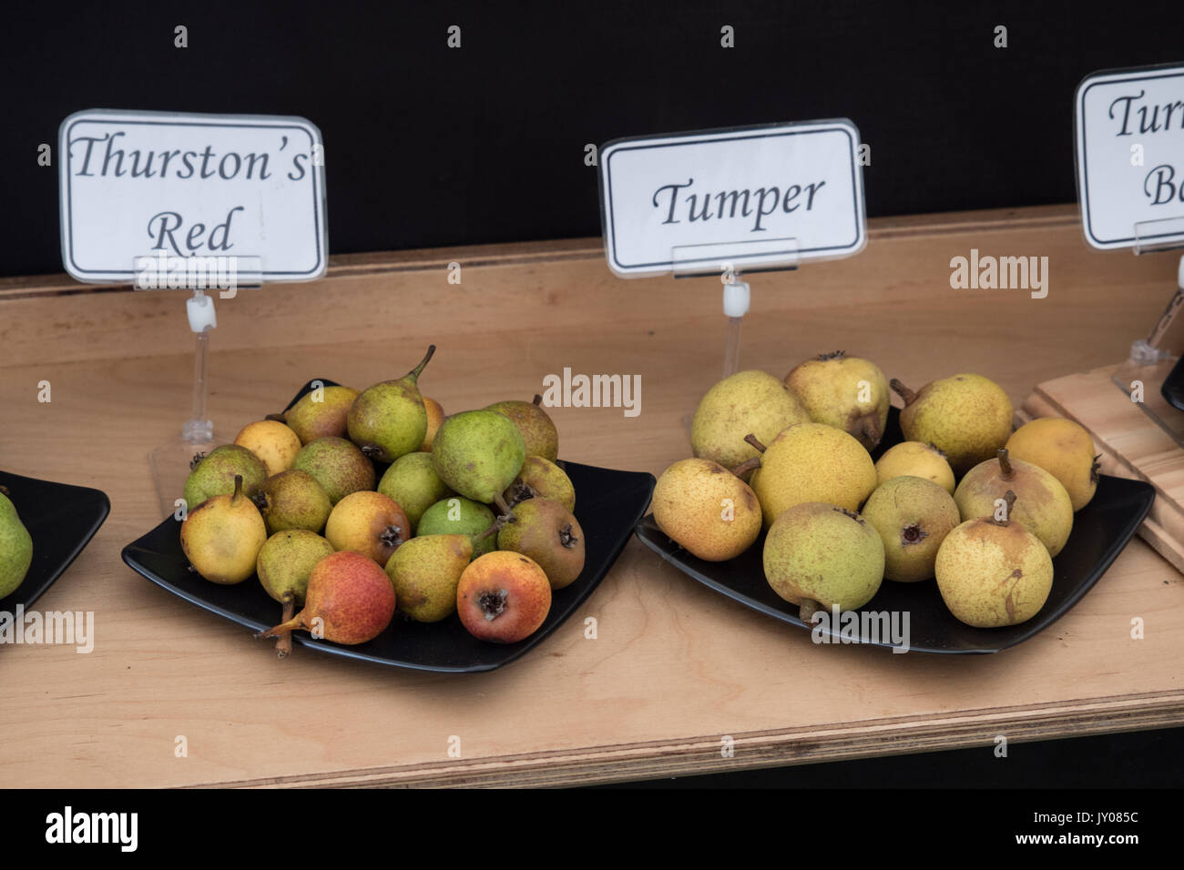 Named apple varieties displayed at show.  Worcestershire, England.  United Kingdom. Stock Photo