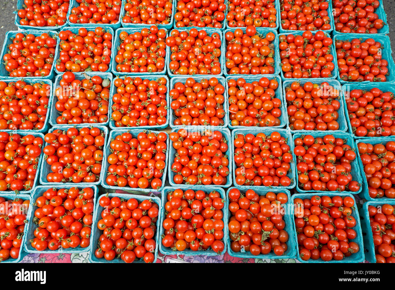 Containers of wild Mexican tomatoes for sale at the Union Square Green Market in Manhattan, New York City. Stock Photo