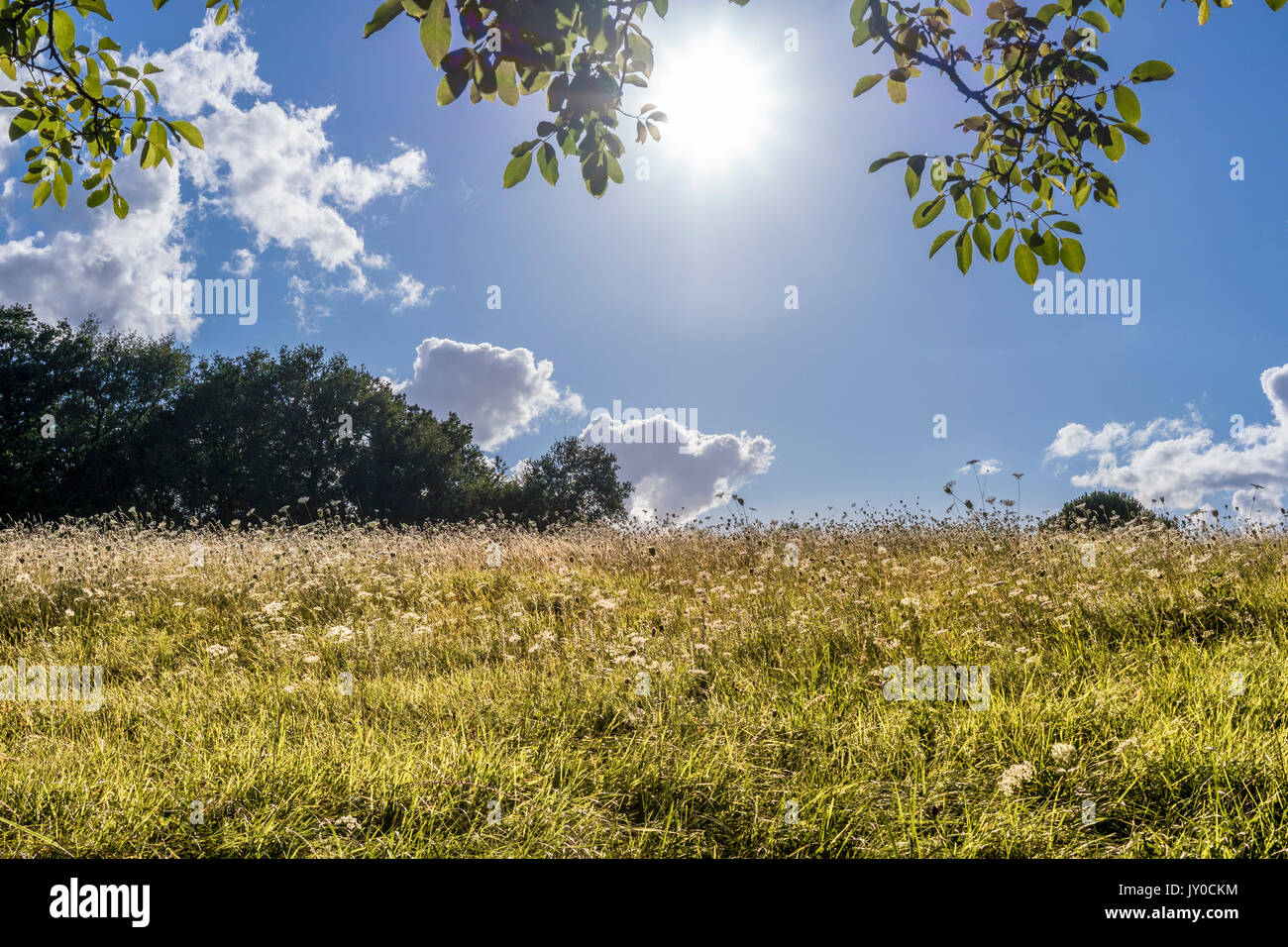 Rural scene Stock Photo