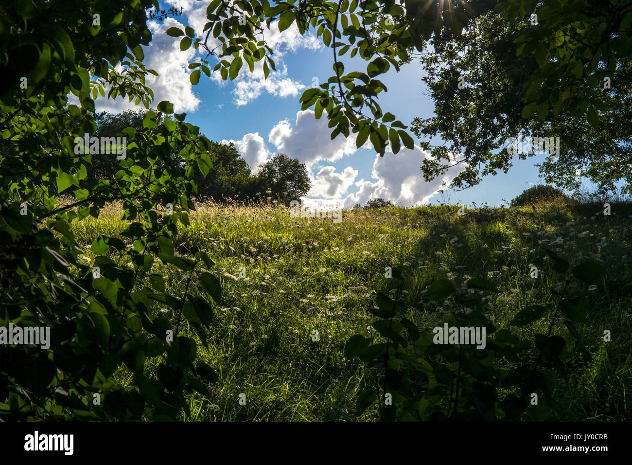 Rural scene Stock Photo