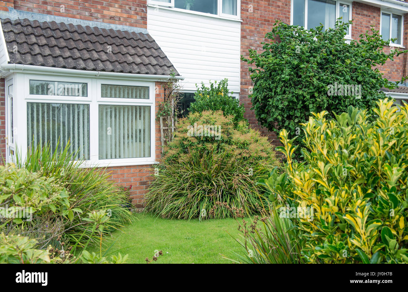 Front garden of a typical suburban house in the UK, located near Cardiff, south Wales Stock Photo